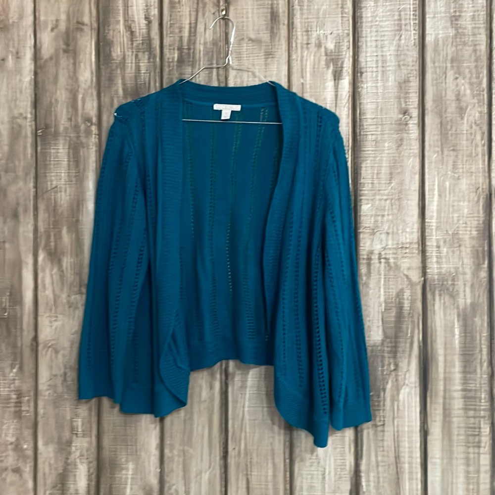 Dana Buchman bluish green cardigan